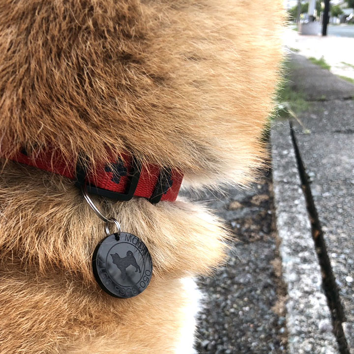 迷子札 犬 アクリル サークル ブラックタイプ（30mm）ペット ドッグ ネーム タグ 愛犬用に まいごふだ