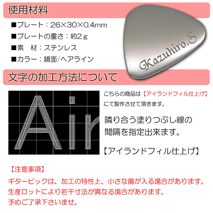 ネーム 名入れ 刻印 ギター ピック 2枚セット