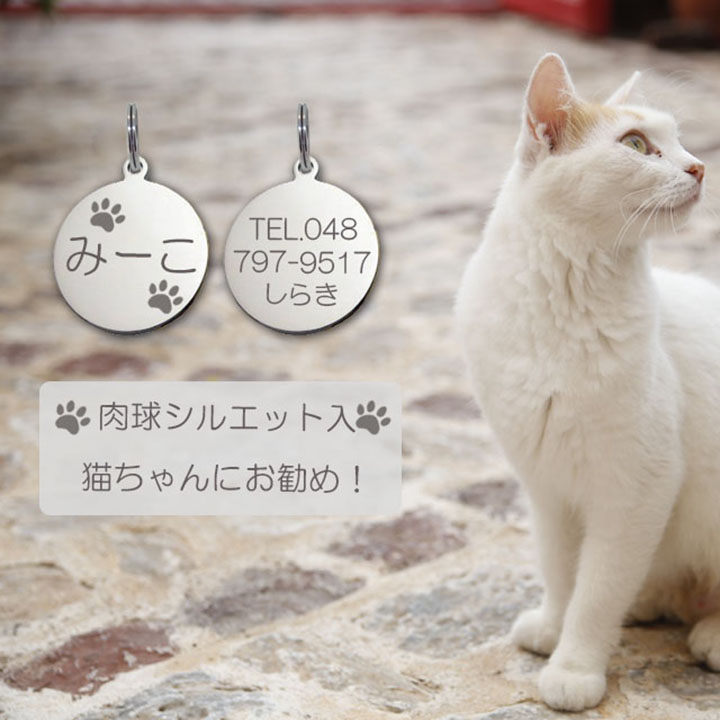 迷子札 肉球 シルエット入 ネコ 猫ちゃん用 極小タイプ ネーム プレート ステンレスサークルＳＳ